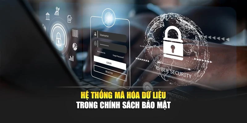 Hệ thống mã hóa dữ liệu trong chính sách bảo mật