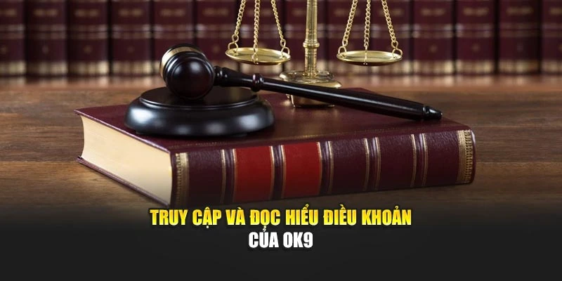 Truy cập và đọc hiểu điều khoản của OK9