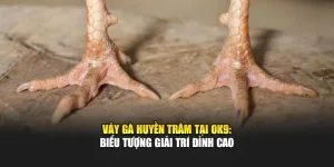 Vảy Gà Huyền Trâm Tại Ok9: Biểu Tượng Giải Trí Đỉnh Cao
