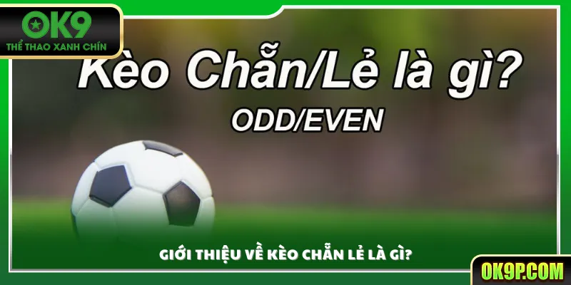 Giới thiệu về kèo chẵn lẻ là gì?