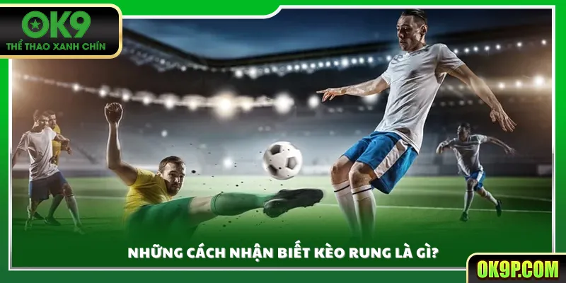 Những cách nhận biết kèo rung là gì?