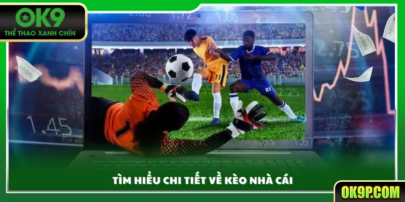 Tìm hiểu chi tiết về kèo nhà cái