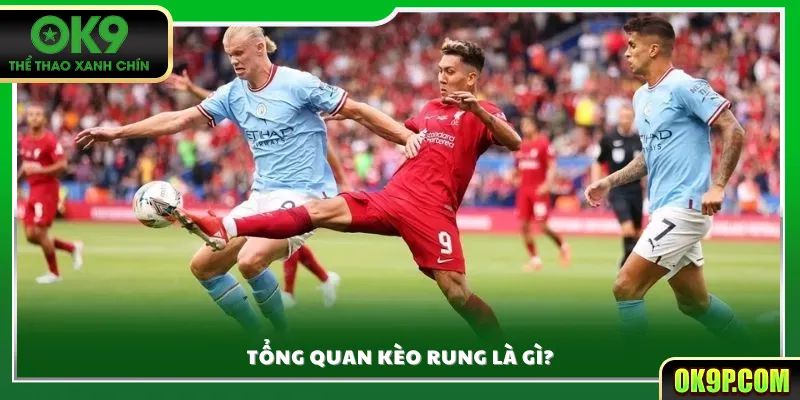 Tổng quan kèo rung là gì?